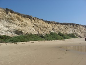 IMG_0253