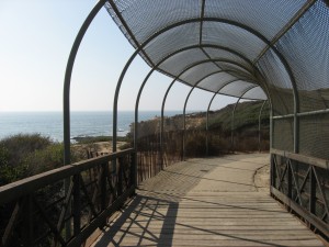 IMG_0312